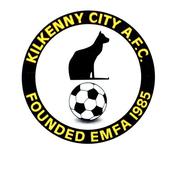 30 July 2001; Kilkenny City club crest. Photo by Sportsfile