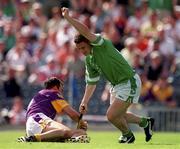 29 July 2001; Barry Foley of Limerick celebrates after scoring his sides second goal during the Guinness All-Ireland Senior Hurling Championship Quarter-Final match between Wexford and Limerick at Croke Park in Dublin. Photo by Damien Eagers/Sportsfile