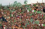 29 July 2001; Limerick supporters during the Guinness All-Ireland Senior Hurling Championship Quarter-Final match between Wexford and Limerick at Croke Park in Dublin. Photo by Damien Eagers/Sportsfile