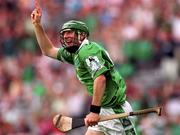 29 July 2001; Sean O'Connor of Limerick celebrates scoring his sides third goal which was subsequently dissallowed during the Guinness All-Ireland Senior Hurling Championship Quarter-Final match between Wexford and Limerick at Croke Park in Dublin. Photo by Damien Eagers/Sportsfile