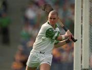 29 July 2001; Timmy Houlian of Limerick during the Guinness All-Ireland Senior Hurling Championship Quarter-Final match between Wexford and Limerick at Croke Park in Dublin. Photo by Damien Eagers/Sportsfile