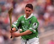 29 July 2001; Barry Foley of Limerick during the Guinness All-Ireland Senior Hurling Championship Quarter-Final match between Wexford and Limerick at Croke Park in Dublin. Photo by Damien Eagers/Sportsfile
