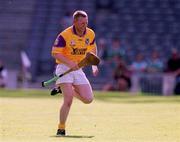 29 July 2001; Damien Fitzhenry of Wexford during the Guinness All-Ireland Senior Hurling Championship Quarter-Final match between Wexford and Limerick at Croke Park in Dublin. Photo by Damien Eagers/Sportsfile