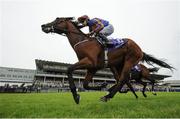 14 July 2016; Sportsmanship, with Donnacha O'Brien up, on their way to winning the Irish Stallion Farms European Breeders Fund Maiden during the Bulmers Evening Meeting at Leopardstown in Dublin. Photo by Matt Browne/Sportsfile