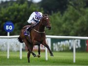 14 July 2016; Mainicin, with Kevin Manning up, on their way to winning the Racecourse Of The Year Handicap during the Bulmers Evening Meeting at Leopardstown in Dublin. Photo by Matt Browne/Sportsfile