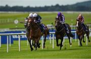 16 July 2016; Arcada with Donnacha O'Brien up on their way to winning the Darley European Breeders Fund Maiden at the Curragh Racecourse in the Curragh, Co. Kildare. Photo by Sportsfile