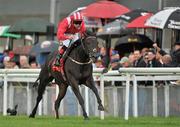 11 September 2010; Good to Follow, with Pat Smullen up, on their way to winning the www.thetote.com Handicap. The Curragh Racecourse, Co. Kildare. Picture credit: Barry Cregg / SPORTSFILE