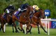 21 July 2016; Promise To Be True, with Ryan Moore up, on their way to winning the Jockey Club Of Turkey Silver Flash Stakes during the Bulmers Evening Meeting at Leopardstown in Dublin. Photo by Brendan Moran/Sportsfile