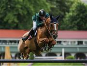 21 July 2016; Bertram Allen of Ireland, competing on Quiet Easy 4, during the Anglesea Stakes at the Dublin Horse Show in the RDS, Ballsbridge, Dublin. Photo by Sam Barnes/Sportsfile