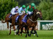 21 July 2016; Kadra, with Shane Foley up, leads the field on their way to winning the Racecourse Of The Year Handicap during the Bulmers Evening Meeting at Leopardstown in Dublin. Photo by Brendan Moran/Sportsfile