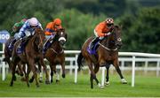 21 July 2016; Tara Dylan, right, with Gary Carroll up, lead the field on their way to winning the Booka Brass Band Handicap during the Bulmers Evening Meeting at Leopardstown in Dublin. Photo by Brendan Moran/Sportsfile