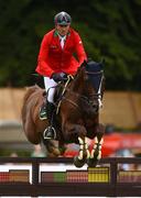 22 July 2016; Piergiorgio Bucci, Italy, competes on Casallo Z during the Furusiyya FEI Nations Cup presented by Longines at the Dublin Horse Show in the RDS, Ballsbridge, Dublin.  Photo by Cody Glenn/Sportsfile