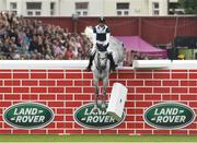 23 July 2016; Zanotel Modolo, of Brazil, competing on Gotti van Paemel, during the The Land Rover Puissance at the Dublin Horse Show in the RDS, Ballsbridge, Dublin. Photo by Sam Barnes/Sportsfile