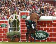 23 July 2016; Eoin McMahon of Ireland, competing on Kings Lux, fails to clear the wall during the The Land Rover Puissance at the Dublin Horse Show in the RDS, Ballsbridge, Dublin. Photo by Sam Barnes/Sportsfile