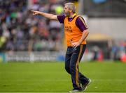 24 July 2016; Wexford selector Ger Cush during the GAA Hurling All-Ireland Senior Championship quarter final match between Wexford and Waterford at Semple Stadium in Thurles, Co Tipperary. Photo by Stephen McCarthy/Sportsfile