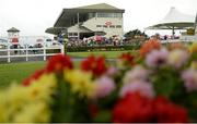 25 July 2016; A general view from the parade ring at the Galway Races in Ballybrit, Co Galway. Photo by Cody Glenn/Sportsfile