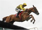 25 July 2016; Muthaza, with Ruby Walsh up, on their way to winning the Radissonhotelgalway.com & Galwaybayhotel.com Novice Hurdle at the Galway Races in Ballybrit, Co Galway. Photo by Cody Glenn/Sportsfile