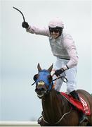 25 July 2016; Barry Browne celebrates winning the Connacht Hotel (Q.R.) Handicap on Swamp Fox at the Galway Races in Ballybrit, Co Galway. Photo by Cody Glenn/Sportsfile