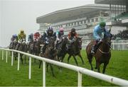 26 July 2016; A general view of the field in the Caulfieldindustrial.com Handicap at the Galway Races in Ballybrit, Co Galway. Photo by Cody Glenn/Sportsfile