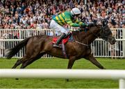 27 July 2016; All The Answers, with Mark Walsh up, on their way to winning the Tote Maiden Hurdle at the Galway Races in Ballybrit, Co Galway. Photo by Cody Glenn/Sportsfile