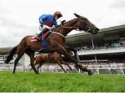 27 July 2016; Plain Talking, with Briain Kane up, on their way to winning the Thetote.com Handicap Hurdle at the Galway Races in Ballybrit, Co Galway. Photo by Cody Glenn/Sportsfile