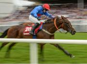 27 July 2016; Plain Talking, with Briain Kane up, on their way to winning the Thetote.com Handicap Hurdle at the Galway Races in Ballybrit, Co Galway. Photo by Cody Glenn/Sportsfile