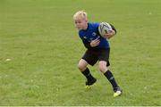 27 July 2016; Aaron Gartland, age 9, from the Curragh, during the Bank of Ireland Leinster Rugby Summer Camp at Cill Dara RFC in Dunmurray West, Kildare. Photo by Piaras Ó Mídheach/Sportsfile