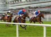 27 July 2016; Eventual winner Plain Talking, with Briain Kane up, races ahead of Sea Light, right, with Davy Russell up, who finished second, on their way to winning the Thetote.com Handicap Hurdle at the Galway Races in Ballybrit, Co Galway. Photo by Cody Glenn/Sportsfile