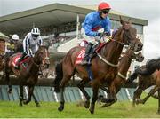 27 July 2016; Eventual winner Plain Talking, with Briain Kane up, on their way to winning the Thetote.com Handicap Hurdle at the Galway Races in Ballybrit, Co Galway. Photo by Cody Glenn/Sportsfile