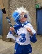 27 July 2016; Waterford supporter Lee Corley, age 4 , from Tallow, prior to the Bord Gáis Energy Munster GAA Hurling U21 Championship Final match between Waterford and Tipperary at Walsh Park in Waterford.Photo by Eóin Noonan/Sportsfile
