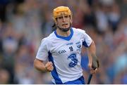 27 July 2016; Peter Hogan of Waterford celebrates after scoring his side's second goal during the Bord Gáis Energy Munster GAA Hurling U21 Championship Final match between Waterford and Tipperary at Walsh Park in Waterford. Photo by Eoin Noonan/Sportsfile
