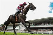 28 July 2016; Bel Sas, with Ruby Walsh up, cross the line to win the Guinness Novice Hurdle at the Galway Races in Ballybrit, Co Galway. Photo by Cody Glenn/Sportsfile