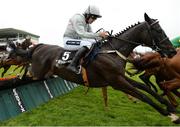 28 July 2016; Eventual winner Clondaw Warrior, with Ruby Walsh up, on their way to winning the Guinness Galway Hurdle Handicap at the Galway Races in Ballybrit, Co Galway. Photo by Cody Glenn/Sportsfile