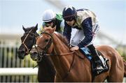 29 July 2016; Golden Spear, right, with Leigh Roche up, races alongside Le Vagabond, with Killian Leonard up, who finished fifth, on their way to winning the Guinness Handicap on Golden Spear at the Galway Races in Ballybrit, Co Galway. Photo by Cody Glenn/Sportsfile
