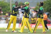 31 July 2016; Tallawahs celebrate the wicket of Andre Fletcher during Match 30 of the Hero Caribbean Premier League match between Jamaica Tallawahs v St Lucia Zouks at Central Broward Stadium in Lauderhill, Florida, United States of America. Photo Ashley Allen/Sportsfile