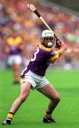 12 August 2001; Paul Codd of Wexford during the Guinness All-Ireland Senior Hurling Championship Semi-Final match between Wexford and Tipperary at Croke Park in Dublin. Photo by Damien Eagers/Sportsfile