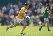 25 June 2016; Patrick Mc Bride of Antrim during the All-Ireland Football Senior Championship 1B qualifier game between Antrim and Limerick at Corrigan Park in Belfast. Photo by Ramsey Cardy/Sportsfile