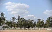 4 August 2016; Judy Reynolds of Ireland on Vancouver K during dressage training at the Olympic Equestrian Centre in Deodora ahead of the start of the 2016 Rio Summer Olympic Games in Rio de Janeiro, Brazil. Photo by Brendan Moran/Sportsfile