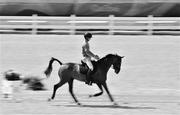 4 August 2016; Jonty Evans of Ireland on Cooley Rorke’s Drift during Cross Country dressage training at the Olympic Equestrian Centre in Deodora ahead of the start of the 2016 Rio Summer Olympic Games in Rio de Janeiro, Brazil. Photo by Brendan Moran/Sportsfile