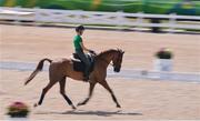 4 August 2016; Claire Abbott of Ireland on Euro Prince during Cross Country dressage training at the Olympic Equestrian Centre in Deodora ahead of the start of the 2016 Rio Summer Olympic Games in Rio de Janeiro, Brazil. Photo by Brendan Moran/Sportsfile