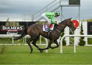 4 August 2016; Laoch Na Mi, with Kevin Manning up, cross the line to win the Bulmers Live at Leopardstown Maiden during the Bulmers Evening Meeting at Leopardstown in Dublin.  Photo by Cody Glenn/Sportsfile