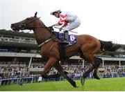 4 August 2016; Laws Of Spin, with Shane Foley up, on their way to winning the Godolphin Student Initiative Handicap during the Bulmers Evening Meeting at Leopardstown in Dublin.  Photo by Cody Glenn/Sportsfile