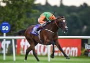 4 August 2016; Lightning Bullet, with Kevin Manning up, on their way to winning the 1888 Restaurant Maiden during the Bulmers Evening Meeting at Leopardstown in Dublin.  Photo by Cody Glenn/Sportsfile