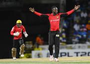 4 August 2016;  Nikita Miller of Trinbago Knight Riders celebrates the dismissal of during the Hero Caribbean Premier League (CPL) – Play-off - Match 32 between St. Lucia Zouks and Trinbago Knight Riders at Warner Park in Basseterre, St Kitts. Photo by Randy Brooks/Sportsfile