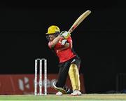 4 August 2016;  Brendon McCullum of Trinbago Knight Riders hits 4 during the Hero Caribbean Premier League (CPL) – Play-off - Match 32 between St. Lucia Zouks and Trinbago Knight Riders at Warner Park in Basseterre, St Kitts. Photo by Randy Brooks/Sportsfile