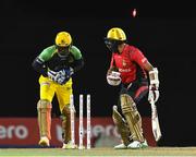 5 August 2016;  Hashim Amla (R) of Trinbago Knight Riders stumped by Kumar Sangakkara (L) of Jamaica Tallawahs during the Hero Caribbean Premier League (CPL) – Play-off - Match 33 at Warner Park in Basseterre, St Kitts. Photo by Randy Brooks/Sportsfile