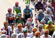 6 August 2016; Nicolas Roche of Ireland, left of centre, in action during the Men's Road Race during the 2016 Rio Summer Olympic Games in Rio de Janeiro, Brazil. Photo by Stephen McCarthy/Sportsfile