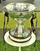 2 October 2010; A general view of the Celtic League trophy. Celtic League, Leinster v Munster, Aviva Stadium, Lansdowne Road, Dublin. Picture credit: Brendan Moran / SPORTSFILE