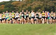 17 October 2010; A general view of the start of the Aviva Gerry Farnan Cross Country 2010. Phoenix Park, Dublin. Picture credit: Tomas Greally / SPORTSFILE