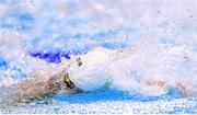 9 August 2016; Shane Ryan of Ireland in action during the Men's 100m freestyle heats in the Olympic Aquatic Stadium, Barra de Tijuca, during the 2016 Rio Summer Olympic Games in Rio de Janeiro, Brazil. Photo by Ramsey Cardy/Sportsfile